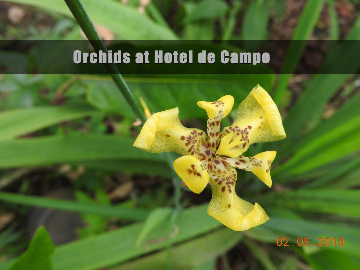 Hotel De Campo Cano Negro Buitenkant foto